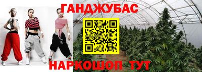 гашик Дубна